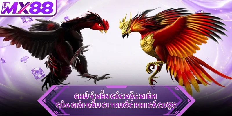 Chú ý đến các đặc điểm của giải đấu C1 trước khi cá cược