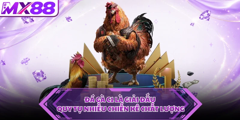 Đá gà C1 là giải đấu quy tụ nhiều chiến kê chất lượng