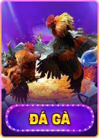 Đá gà