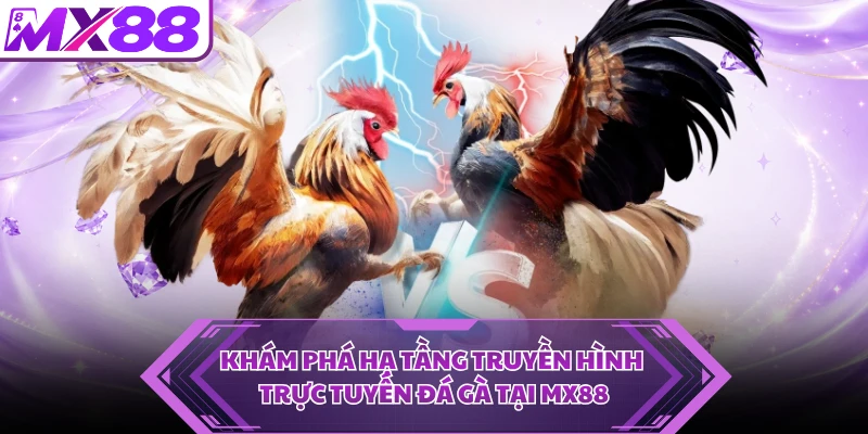Khám phá hạ tầng truyền hình trực tuyến đá gà tại MX88