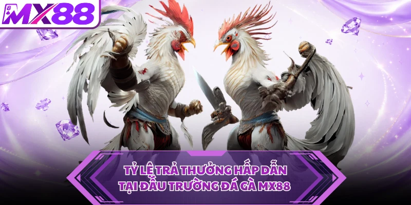 Tỷ lệ trả thưởng hấp dẫn tại đấu trường đá gà MX88