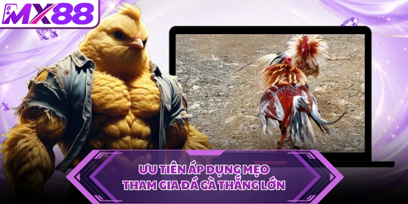 Ưu tiên áp dụng mẹo tham gia đá gà thắng lớn